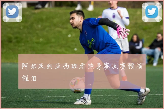 阿尔及利亚西班牙热身赛决赛预演催泪